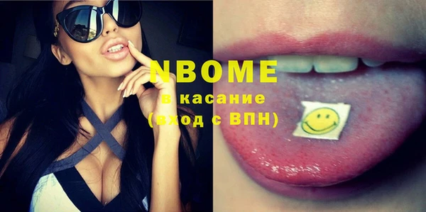 индика Вяземский