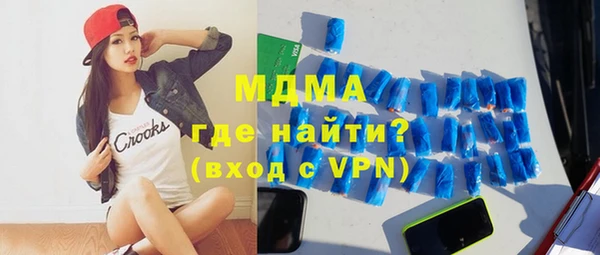 индика Вяземский
