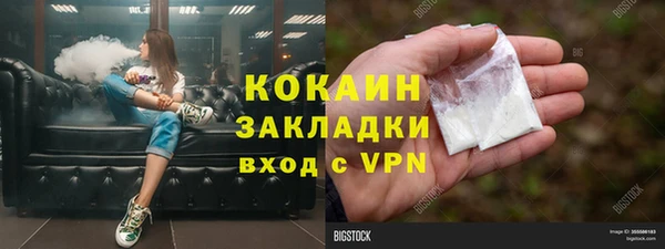 индика Вяземский