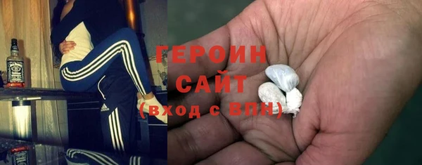 индика Вяземский