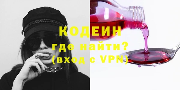 индика Вяземский