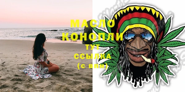 индика Вяземский