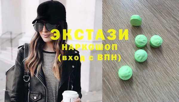 индика Вяземский