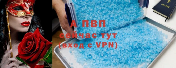 индика Вяземский