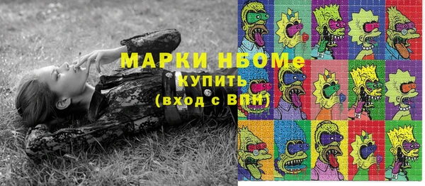 гашик Вязьма
