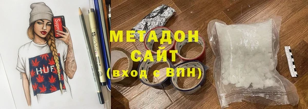 индика Вяземский