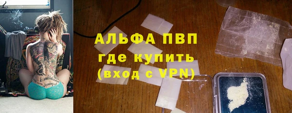 гашик Вязьма