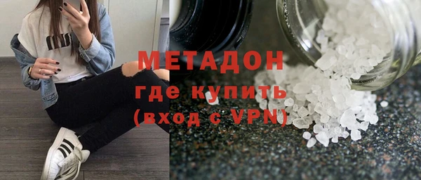 индика Вяземский