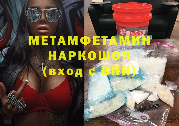 индика Вяземский