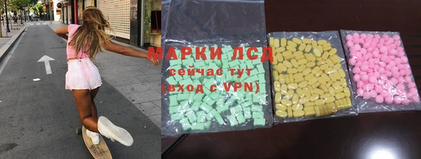 индика Вяземский