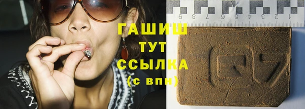 индика Вяземский