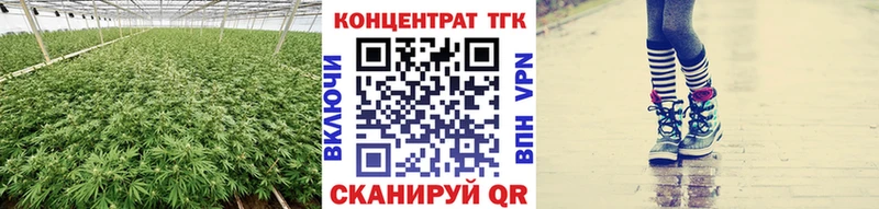 как найти   Переславль-Залесский  ТГК Wax 